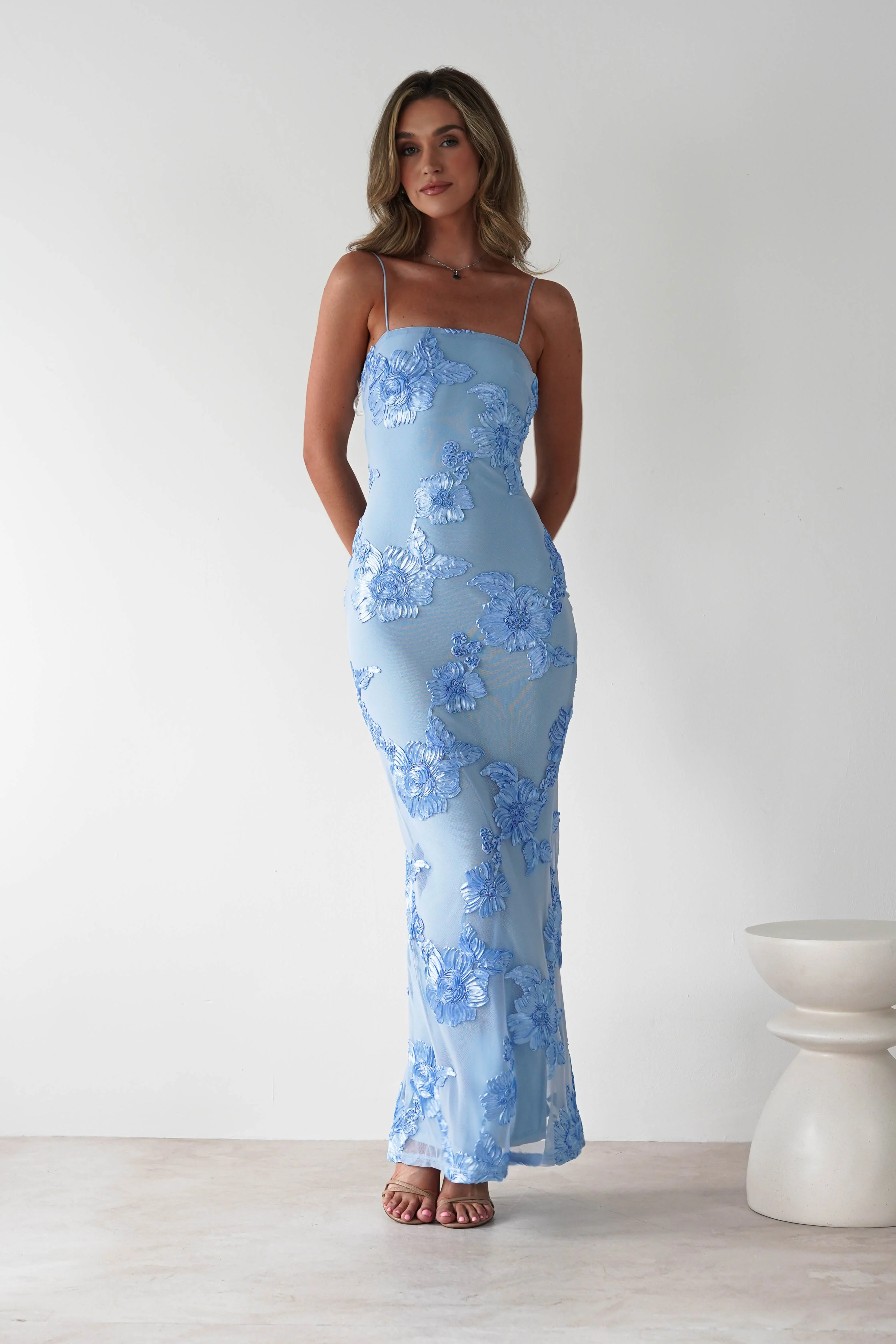Alvana Floral Appliqué Maxi Dress | Blue - Image 5