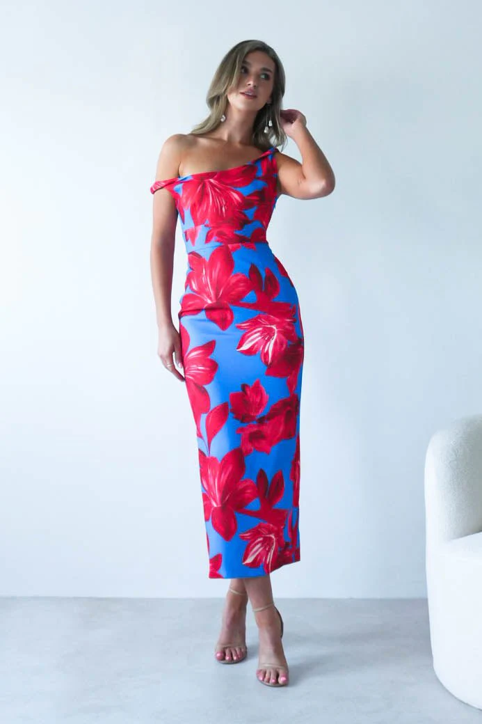 Elliot Floral Print Midi Dress | Blue/Red - Image 7